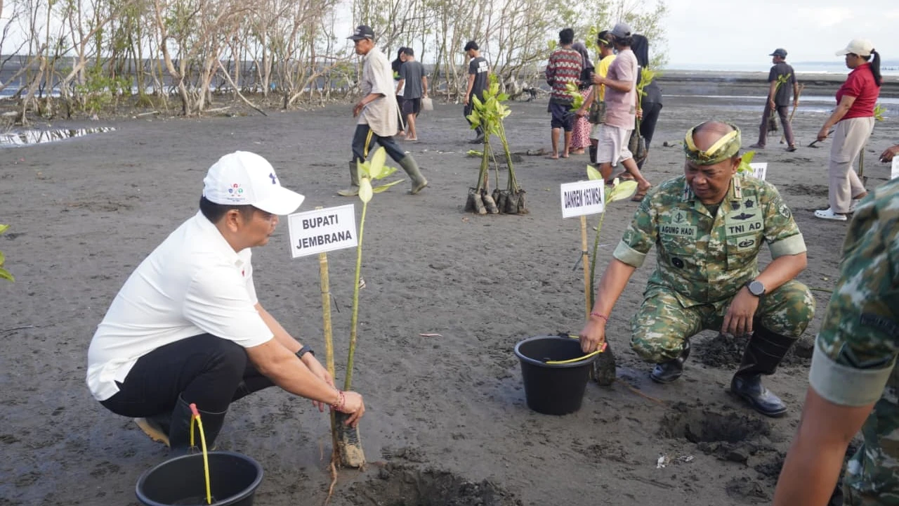 Peringati HUT ke-81 TNI, Bupati Kembang Hartawan Bersama Danrem 163/Wira Satya Pimpin Penanaman 9.200 Mangrove di Tuwed Park