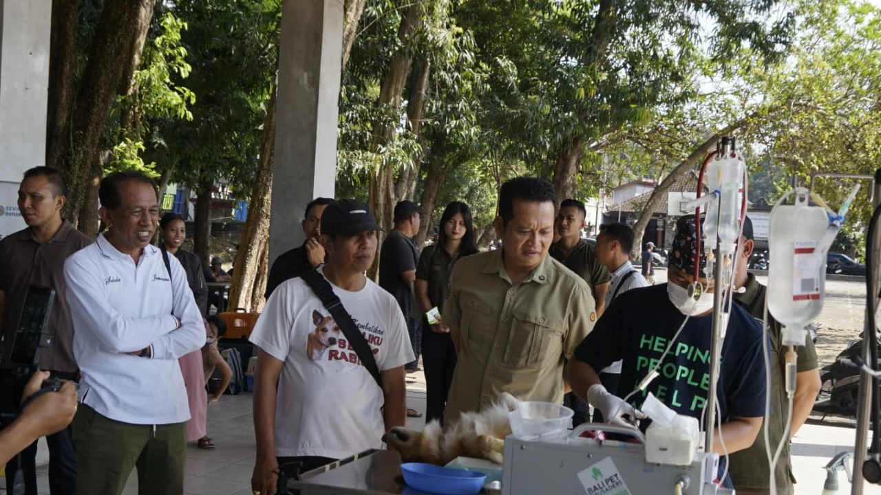 Tekan Penularan Rabies, Pemkab Jembrana Hadirkan Layanan Vaksinasi dan Sterilisasi Gratis Bergilir